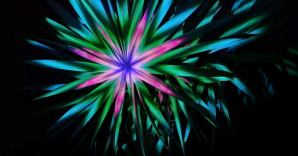 Longwood Gardens Announces Nightscape: A Light and Sound